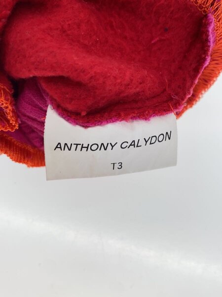 その他ブランド(ソノタブランド) / ANTHONY CALYDON/手袋/--/PNK/無地