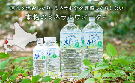 黒松内銘水 水彩の森 2L×12本（2箱） | 北海道黒松内町 | ふるさと納税