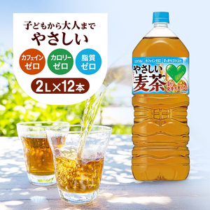 やさしい麦茶 2L 12本 (6本×2箱) セット 詰め合わせ お茶 サントリー