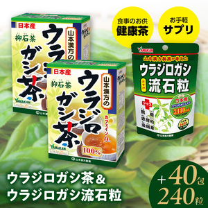 ウラジロガシ茶＆ウラジロガシ 流石粒 山本漢方製薬[027Y12]｜愛知県