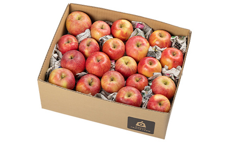 先行予約 2026年度発送》品種おまかせワケありりんごバラ詰め8kg(実