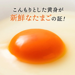 累計600万個突破！】【TVで紹介されました】【定期便】タズミの卵L