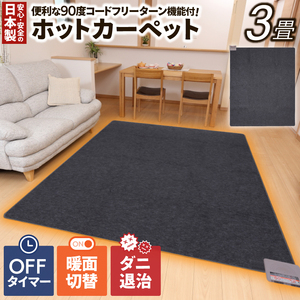 ナショナル DC-3LM2 ホットカーペット3畳用 着せ替えカーペットセット