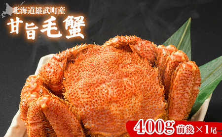 北海道雄武町産】甘旨毛蟹 400g前後×1尾【07186】 | 北海道雄武町