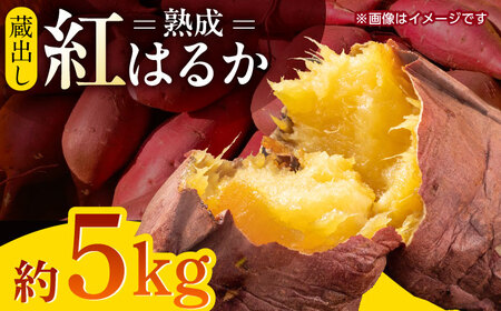 熟成紅はるか約5kg サイズバラバラ さつまいも密芋サツマイモ ZCN017