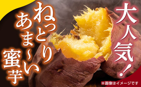 熟成紅はるか約5kg サイズバラバラ さつまいも密芋サツマイモ ZCN017