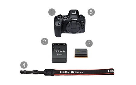 Canon】 キヤノン ミラーレス カメラ EOS R6 MarkⅡ ボディ キャノン_