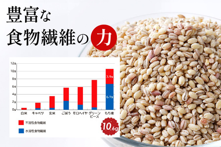 青森県産もち麦] つがるもち麦 美仁 5kg｜青森 津軽 食物繊維 もちむぎ