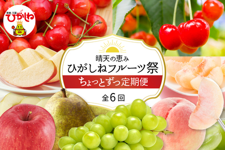 2026年産先行予約】ひがしねフルーツ祭 ちょっとずつ定期便！全6回