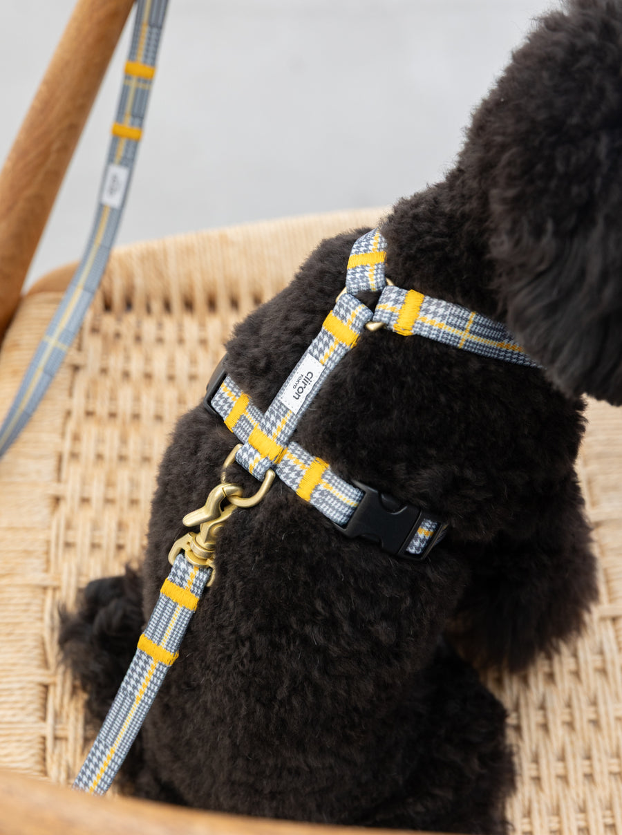 ハーネス Matthew 再入荷！ – ciiron tokyo