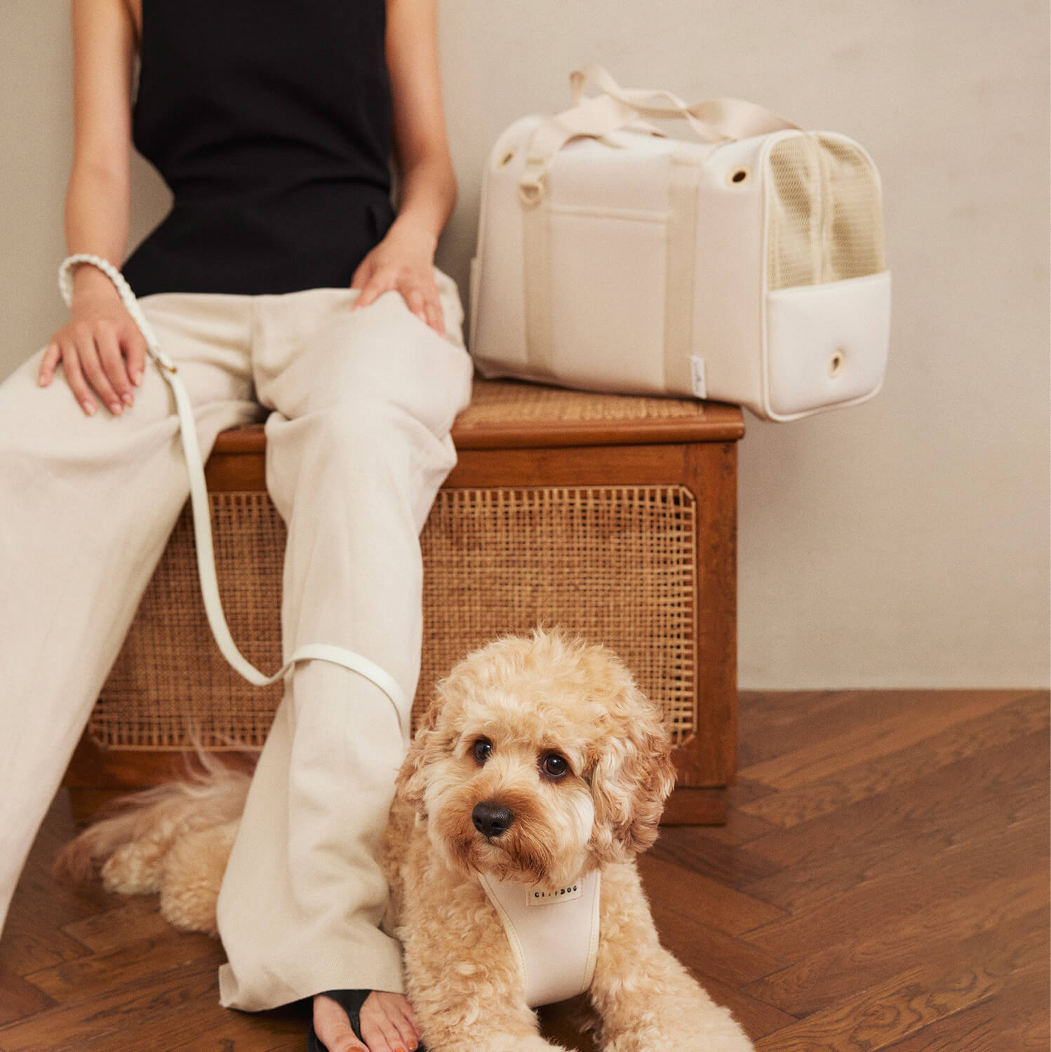 犬用 ネオプレーンボストンキャリー CITYDOG(シティドッグ) NEOPRENE