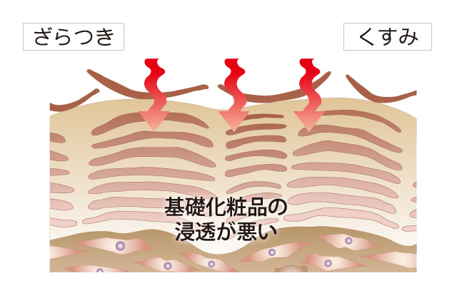 LES | シャンソン化粧品