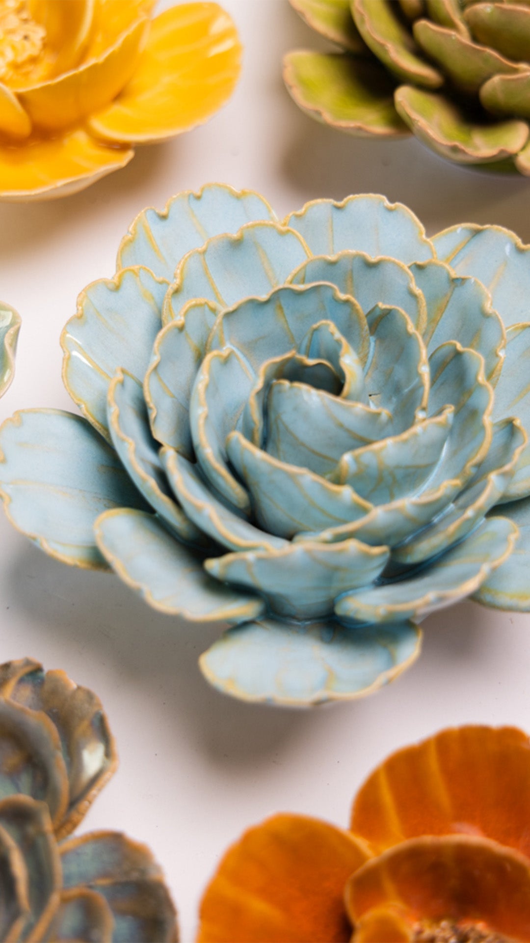 Robin's Egg Blue Keiko Peony