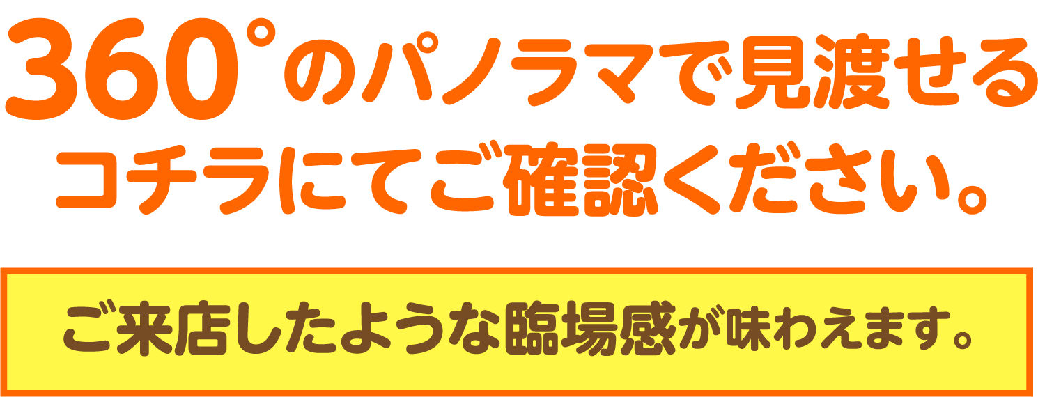 ゴウ様確認用 chi様確認用 chi様確認用 ハチ様確認用 DR ZX Diagnostic
