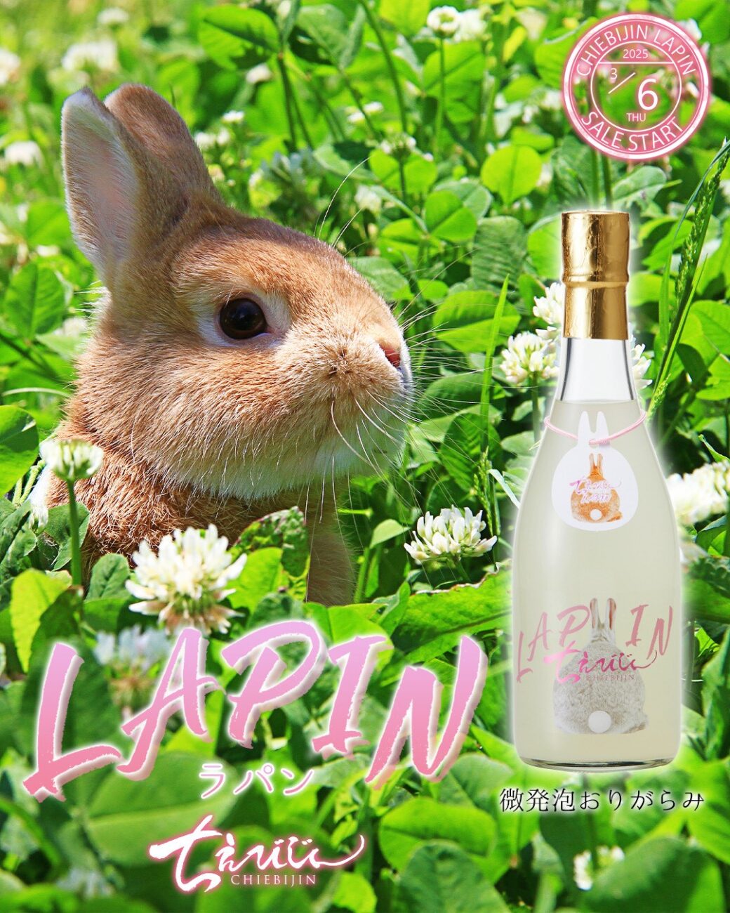 3月限定酒 ちえびじん LAPIN-ラパン- 3月6日(木)～発売 | 智恵美人