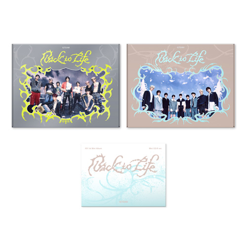 &TEAM シリアル有完品 back to life ミニセット 10枚 vxwpgha0kq.jpg