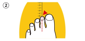 BIRKENSTOCK SIZE CHART | BENEXYオンラインショップ