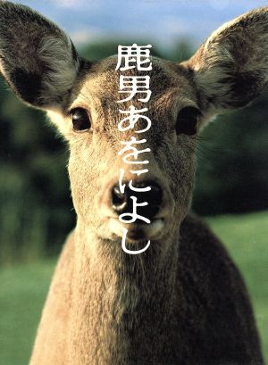 鹿男あをによし DVD-BOX ディレクターズ・カット完全版 中古DVD