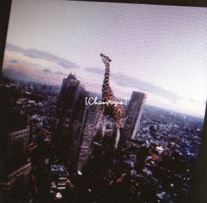 starrrrrrr/涙がこぼれそう(DVD付) 中古CD | ブックオフ公式オンライン