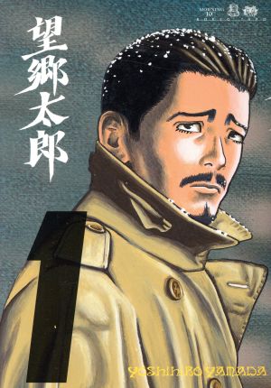 望郷太郎 全巻セット 1-14巻 山田芳裕 講談社 モーニング コミック全巻