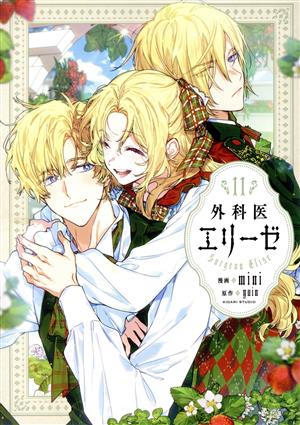 コミック全巻セット・まとめ買い】外科医エリーゼ(全14巻)+外伝セット