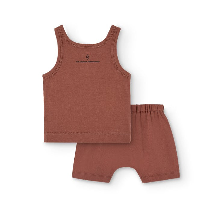 The Animals Observatory | Coucoubebe/ククベベ