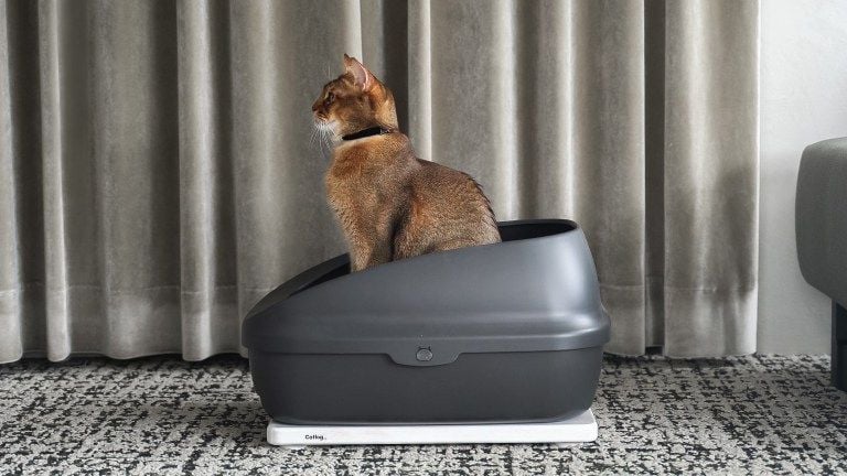 Catlog®（キャトログ）第2弾プロダクト『Catlog Board』を発表！いつも