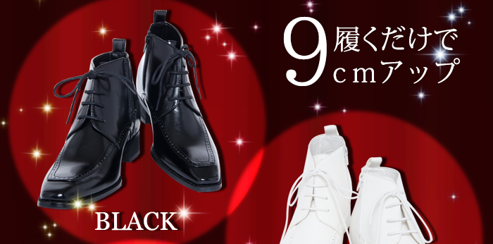 シークレットビジネスシューズ改 (TAS-001) | コスプレウィッグ通販