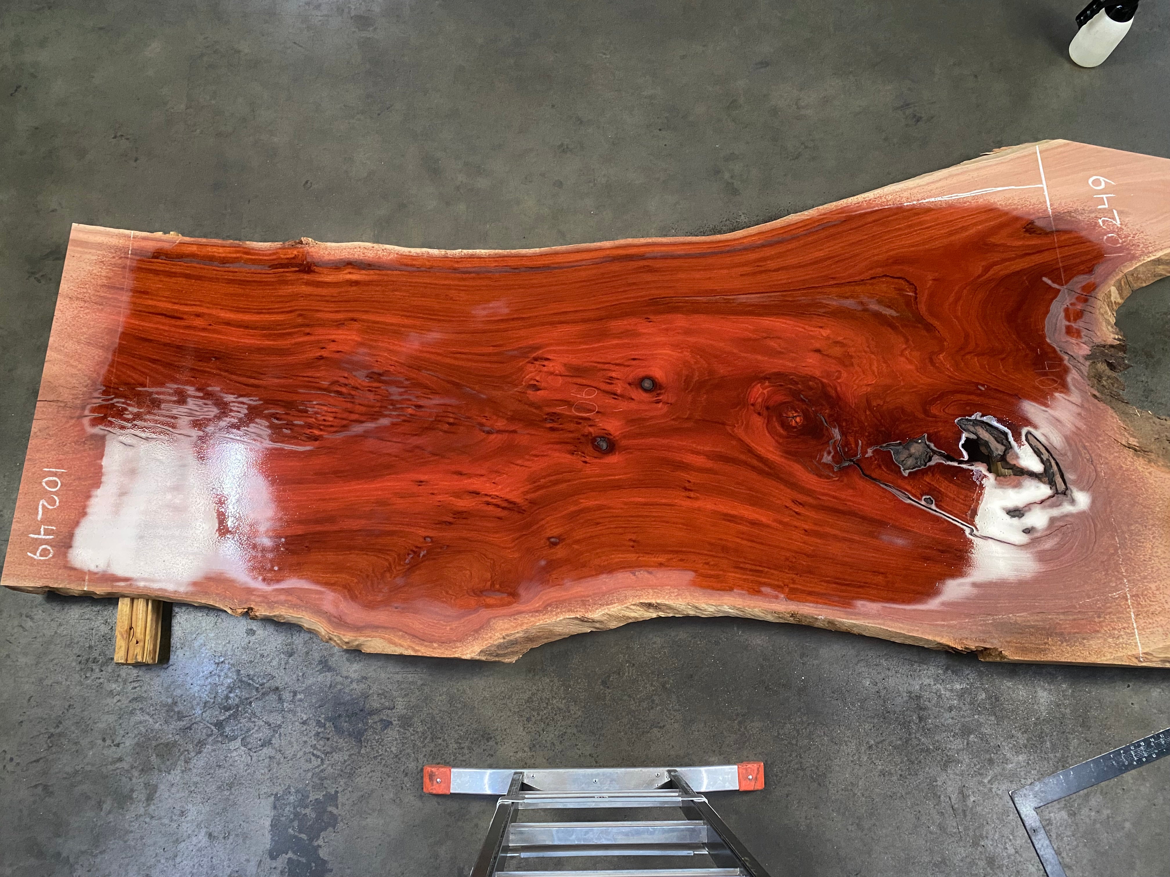 Eucalyptus Slab #10249 (103