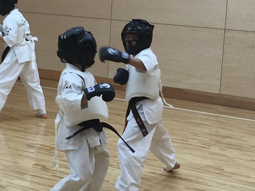 琉球少林流空手道 月心会