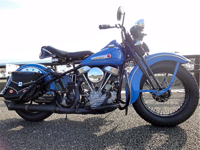 Harley Davidson 48PAN HEAD: D.Lewis
