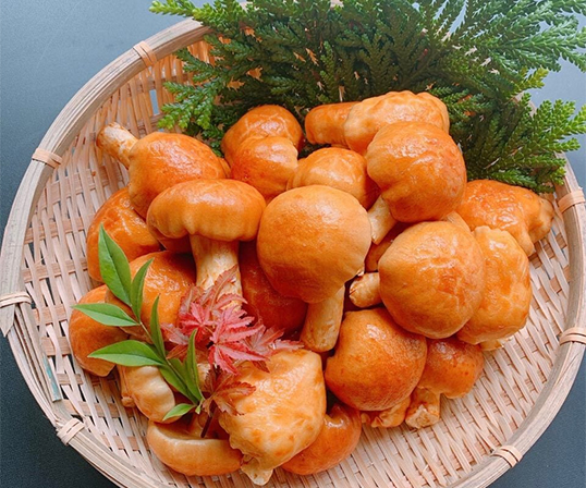 大和オンラインショップ