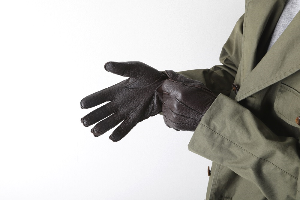 Peccary Gloves (ペッカリーグローブ) - News | DENTS（デンツ）
