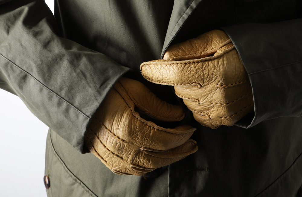 Peccary (ペッカリー) Gloves - News | DENTS（デンツ）