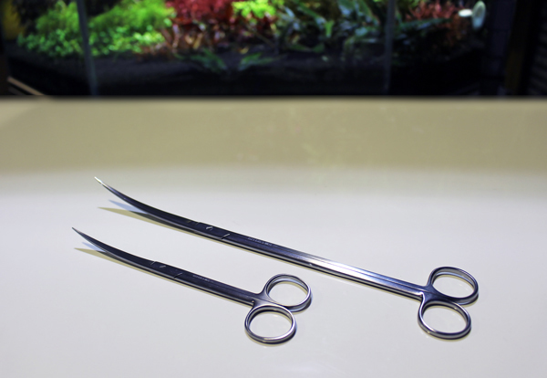 商品情報 デルフィス