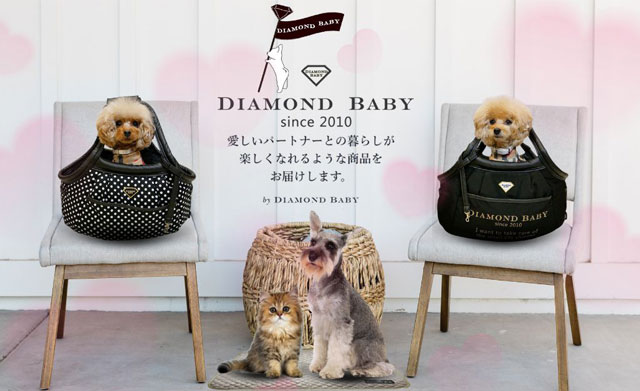 愛犬との暮らしを大切にしたい|Diamond Baby
