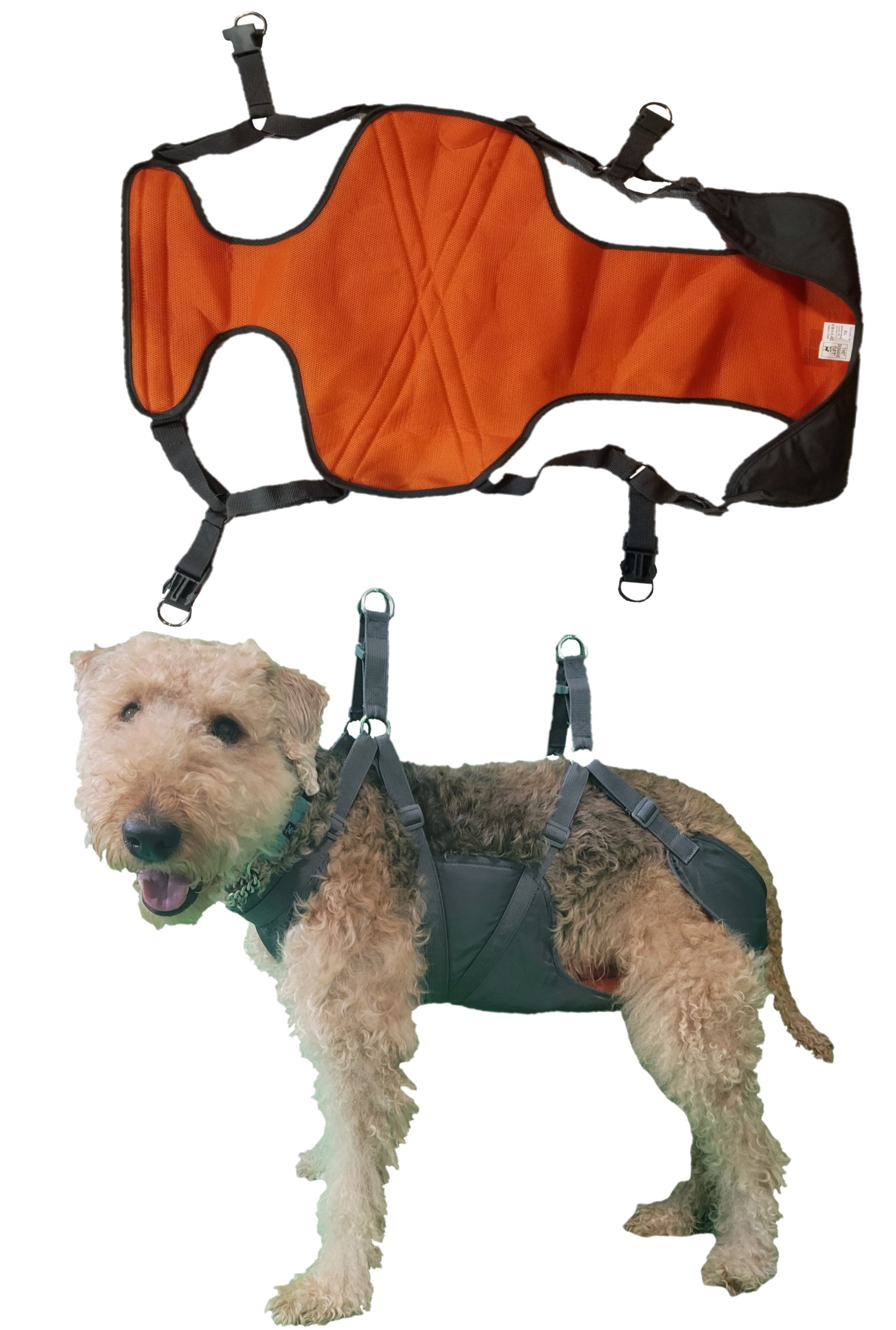 XL Harness (71-120lbs / 32-54.5kgs) – The Doggie Lift