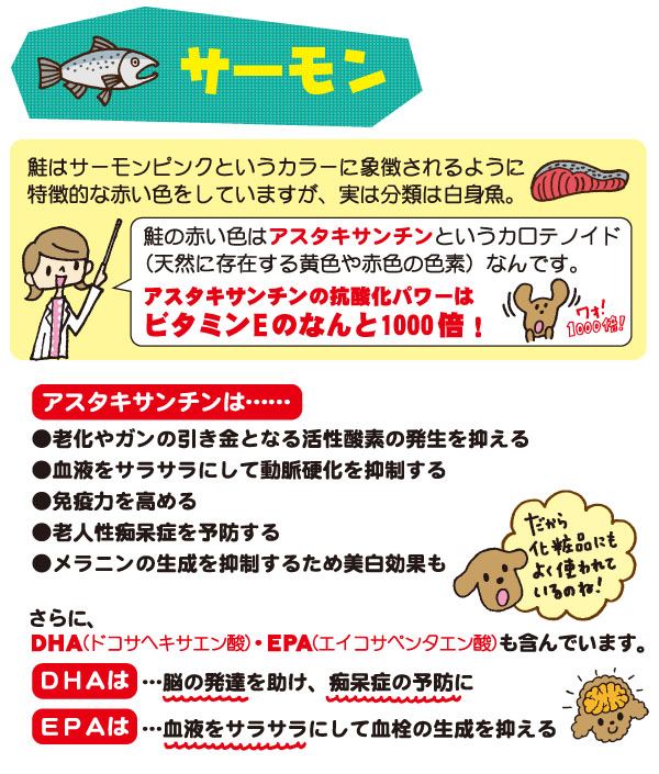 フィッシュ4ドッグ ファイネスト サーモン 大粒 12kg