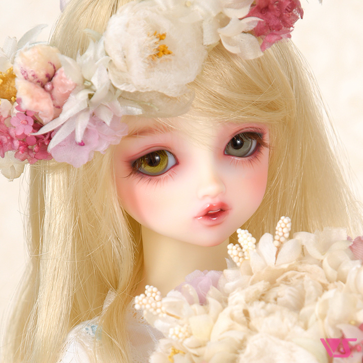 ディーラー専用 SD里帰りサービス | ドルパポータル | ボークス公式