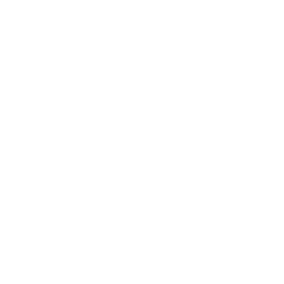 ディセクション・エンジェル(DZ-BT09/FFR14) | FFR | ドラゴンスター