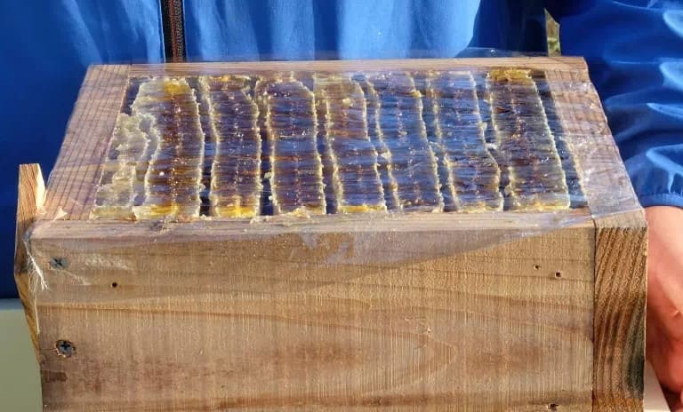 はちみつ 蜜星～ミツボシ～2瓶ギフトセット(2瓶ギフトセット): 山陰