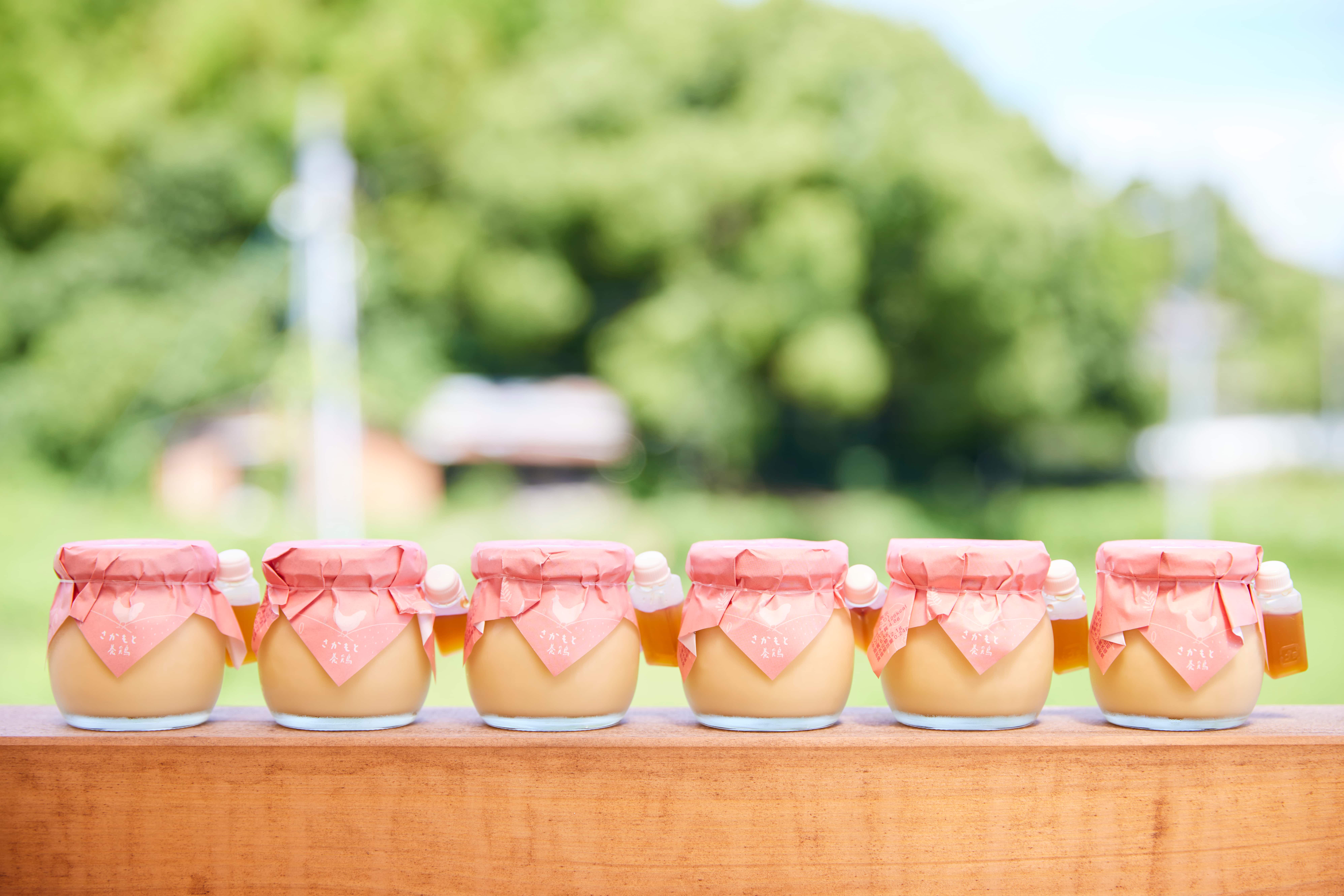 さかもと姉妹の白鳳卵プリン(プレーン6個セット)(白鳳卵プリン): 近畿