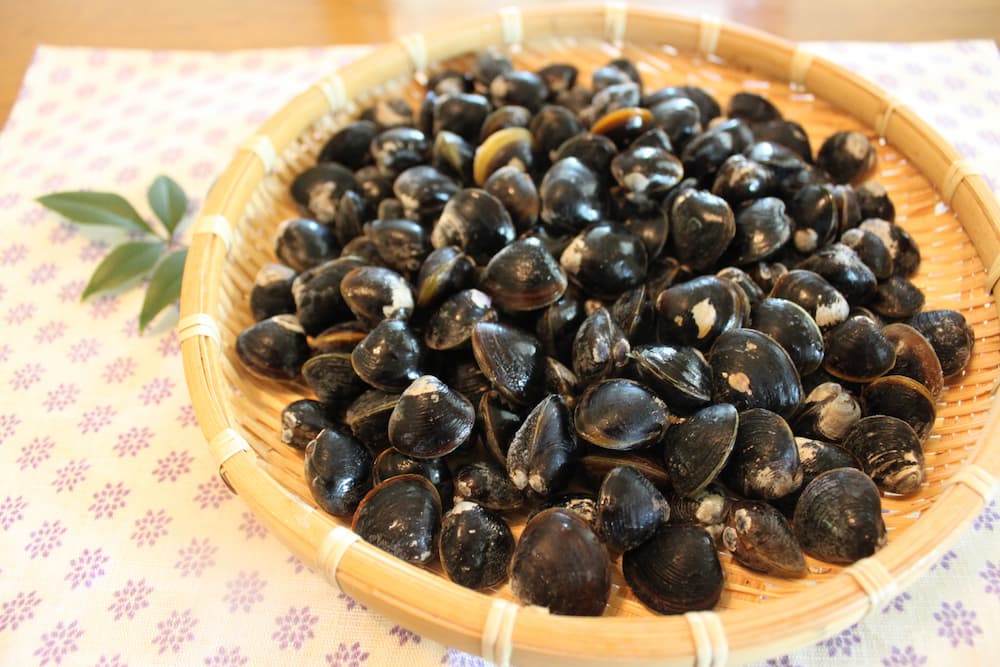 宍道湖しじみセット 5個セット(5個): 山陰エリア│DISCOVER WEST mall