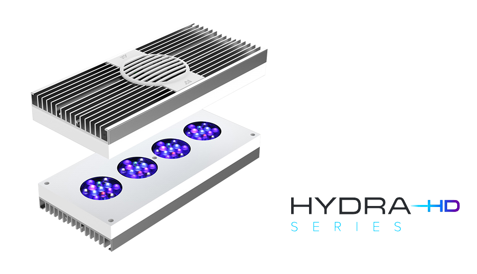LSS Laboratory ｜ AI