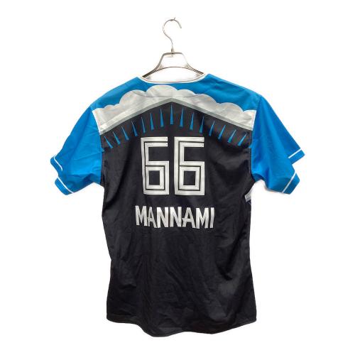 北海道日本ハムファイターズ (ホッカイドウニッポンハムファイターズ