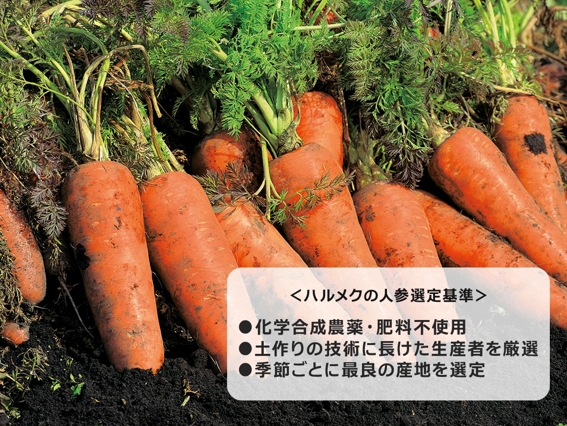 ハルメク 人参ジュース（ビン2本）: ｜ カタログ通販のハルメク