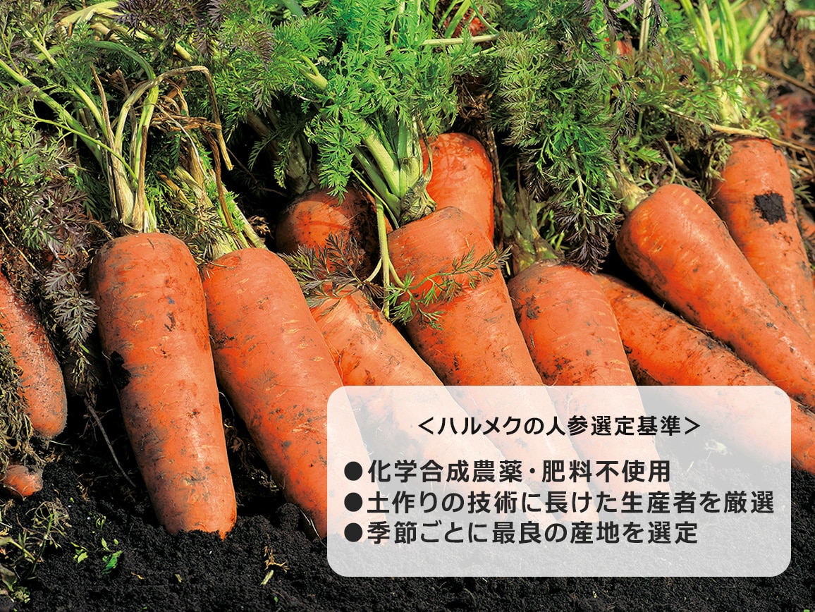 ハルメク 人参ジュース（ビン2本）: ｜ カタログ通販のハルメク