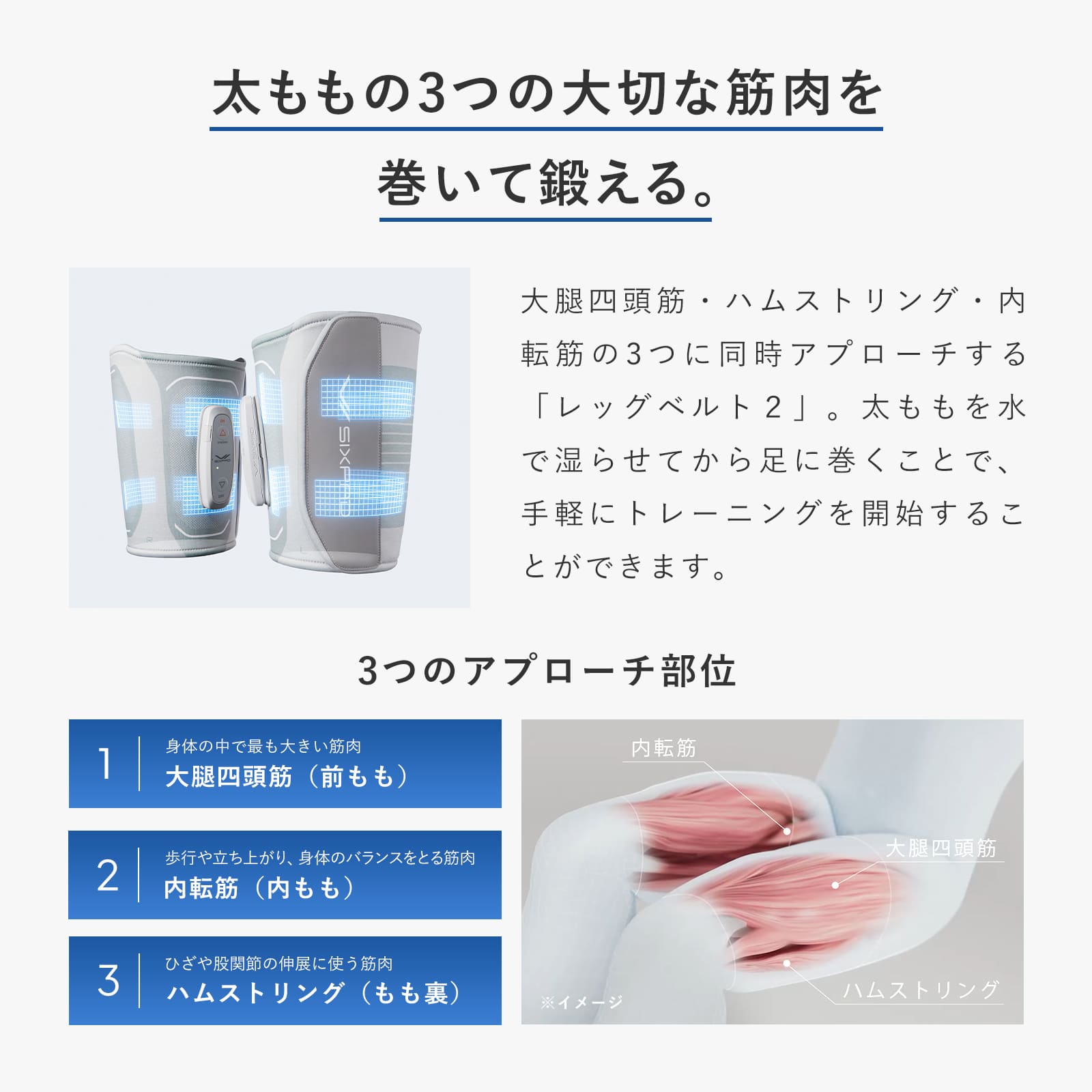 シックスパッド レッグベルト2 （M-Lサイズ）(M-L): MTG ONLINESHOP