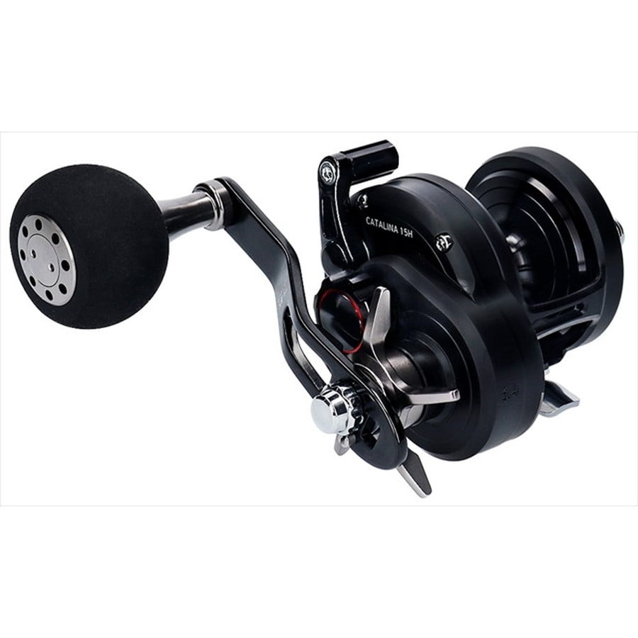 ダイワ ベイトリール キャタリナ 15H 2019年モデル (右巻): 釣具の