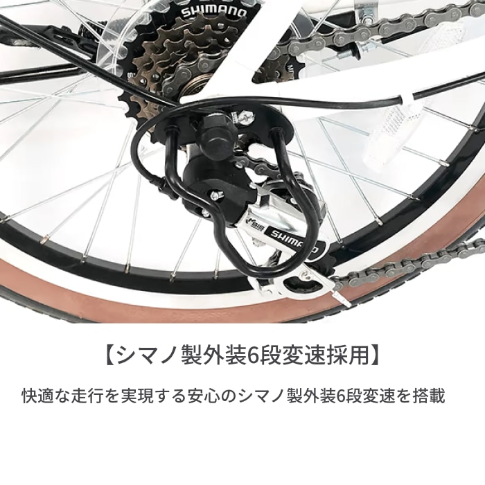 折りたたみ自転車 電動アシスト自転車 PELTECH(ペルテック) TDN-206L